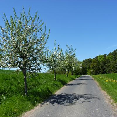 Radfahren in Naumburgs Gemarkung